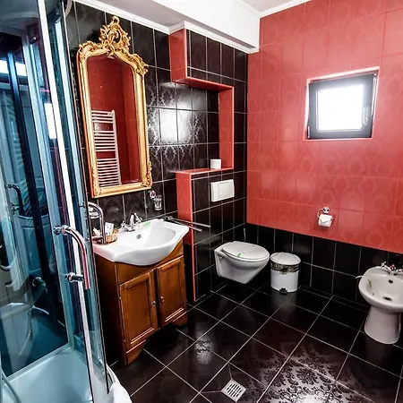 Pensiunea Paradis 4*
