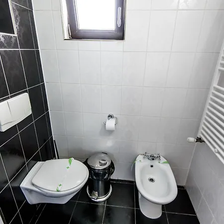 Guest house Pensiunea Paradis